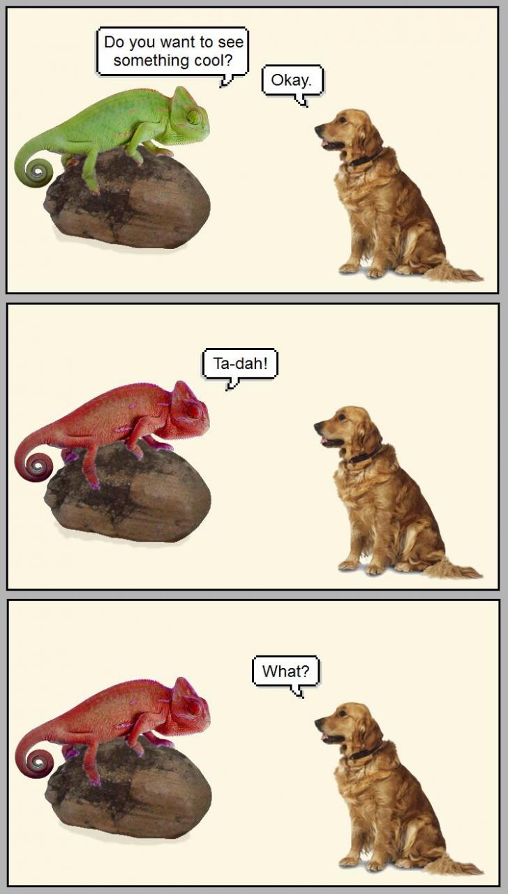 Do+you+to+see+something+cool%3F