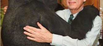 Mr.+Rogers+meets+Koko+The+Gorilla.