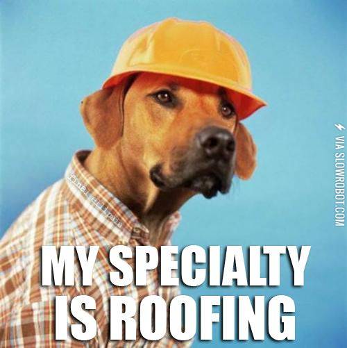 My+specialty+is+roofing.