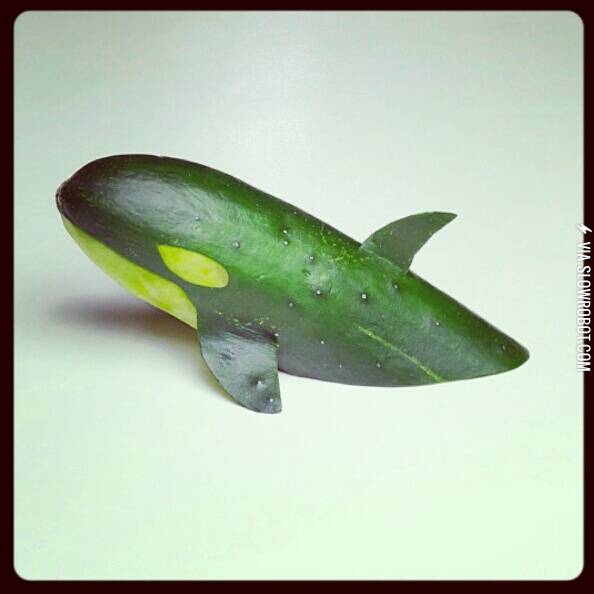The+illusive+green+cucumber+whale%21
