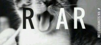 Roar.