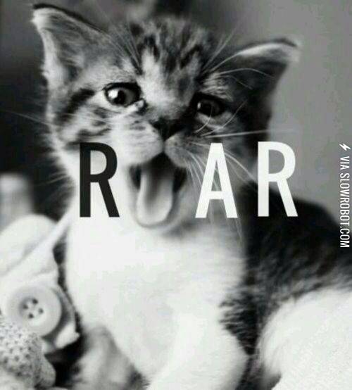 Roar.
