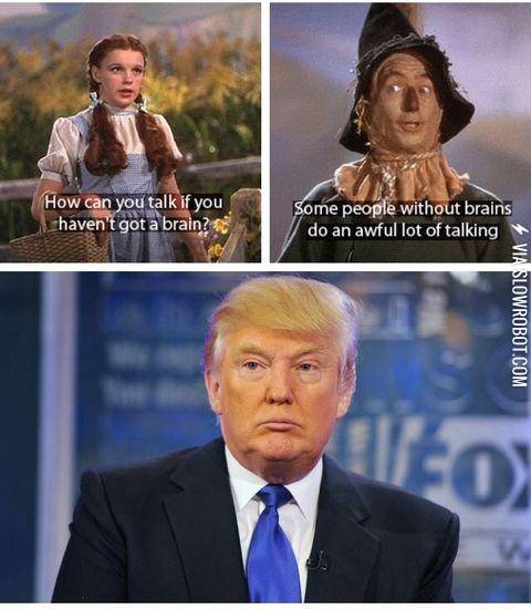 People+without+brains+do+a+whole+lot+of+talking