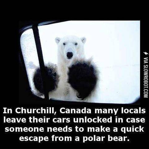 Oh+Canada%2C+you+never+cease+to+amaze+me