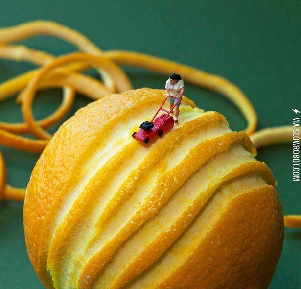 How+I+peel+my+oranges.