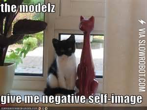 Cats+have+feelings+too.