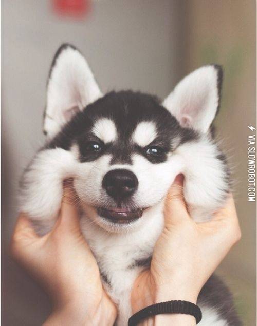 A+smile+is+still+a+smile