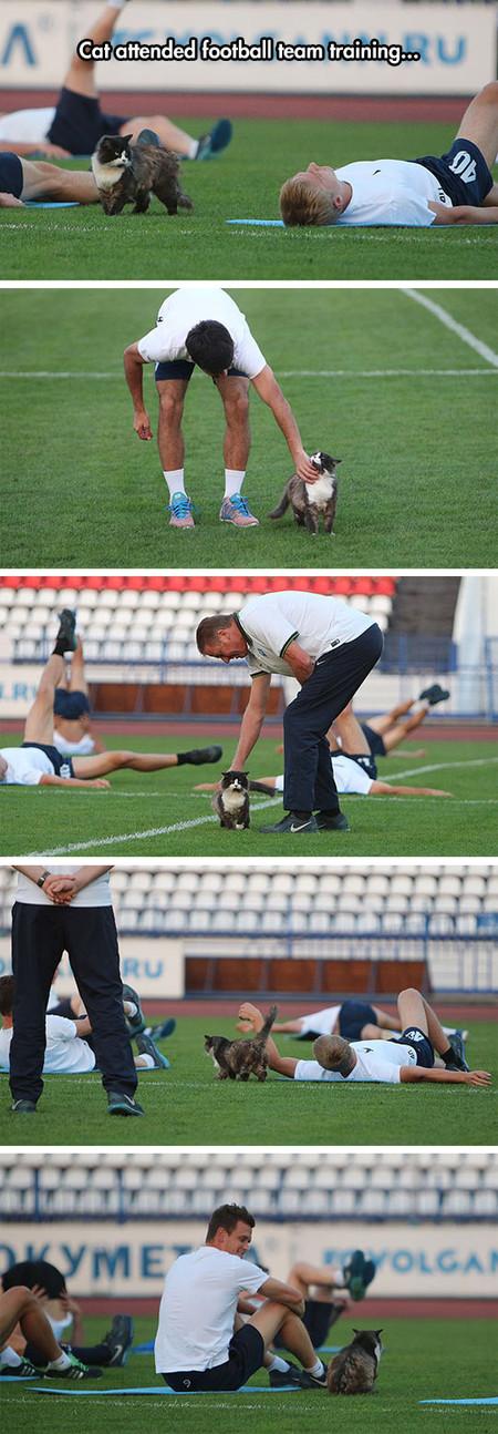Cat+Attended+Football+Team+Training