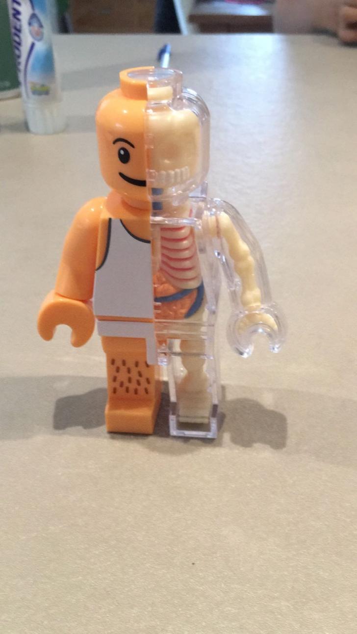Lego+skeleton