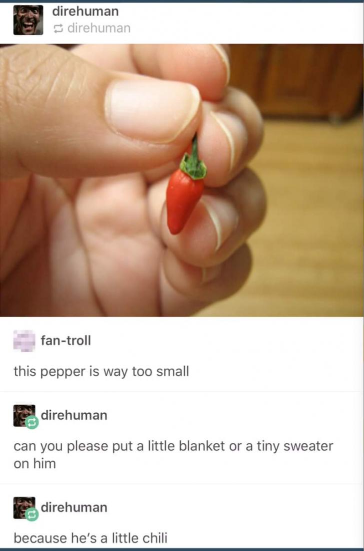 chilli