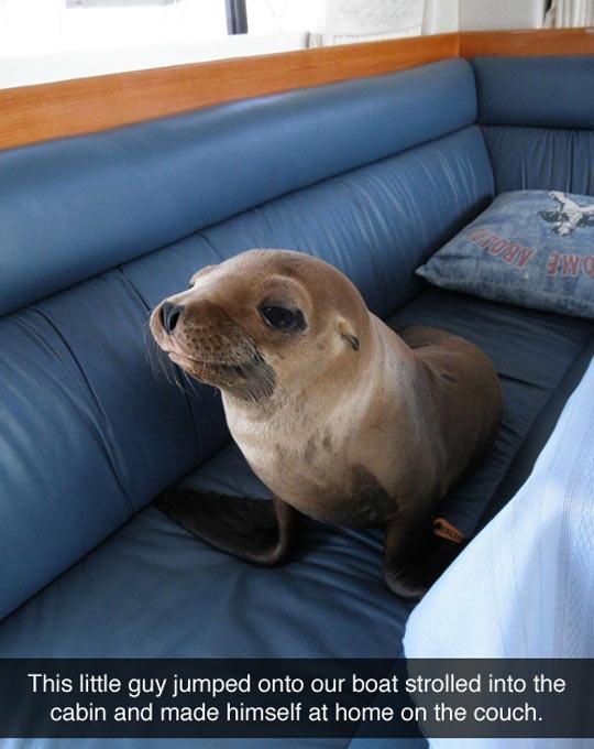 I%26%238217%3Bll+just+have+a+quick+nap%2C+then.