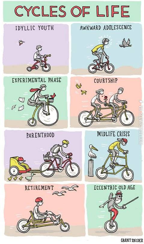 The+cycles+of+life.