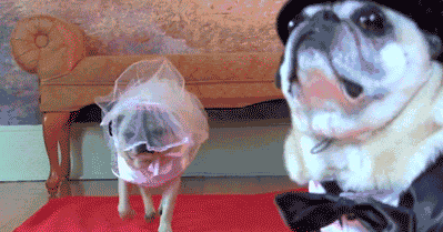 Isn%26%238217%3Bt+marriage+beautiful%3F