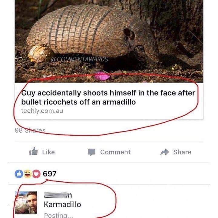 Karmadillo