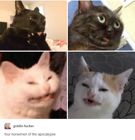 Four+horsemen+of+the+apocalypse