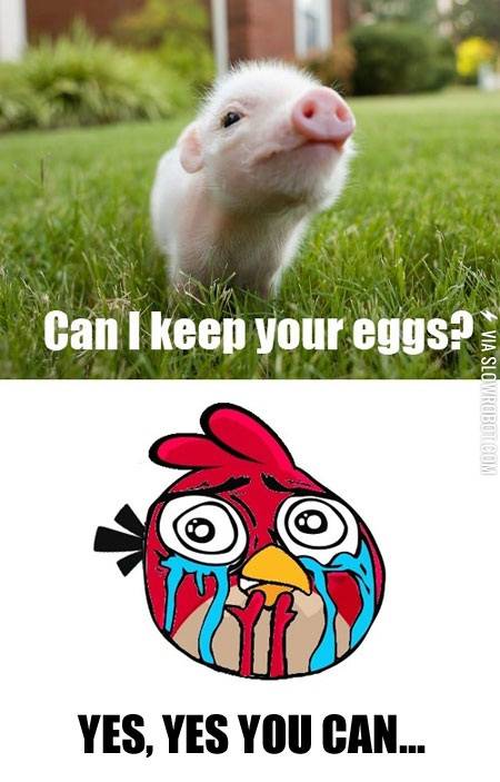 Can+I+keep+your+eggs%3F
