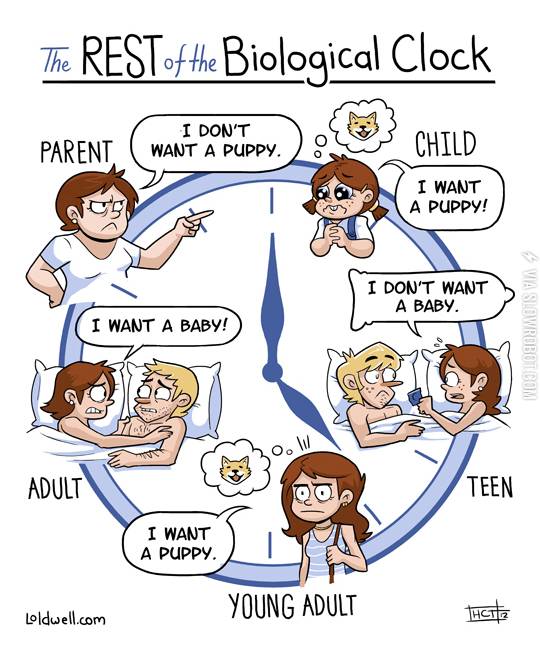 The+rest+of+the+biological+clock.