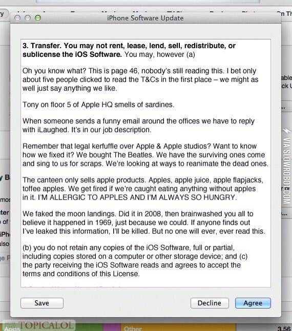 Terms+and+Conditions