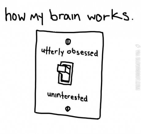 How+my+brain+works