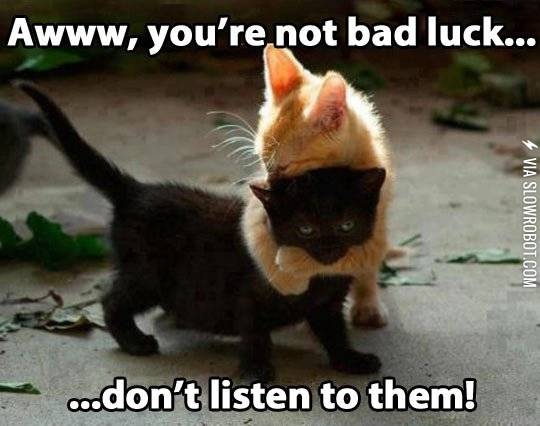 Black+cats+have+feelings+too%21