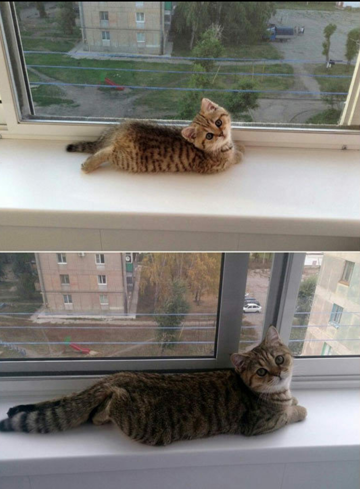 Some+say+she%26%238217%3Bs+still+there+to+this+very+day