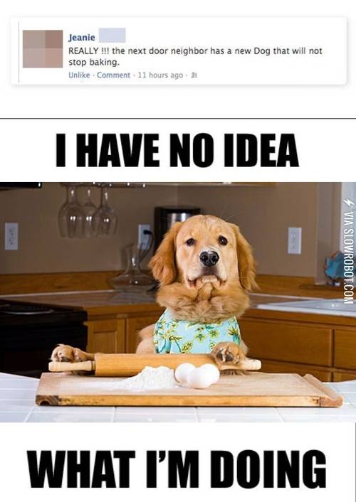 He+has+no+idea+what+he%26%238217%3Bs+doing