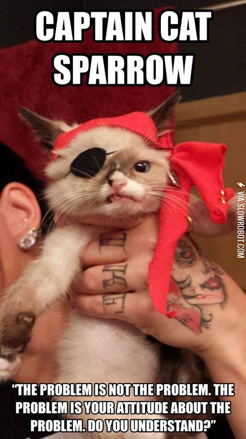Captain+cat+sparrow.