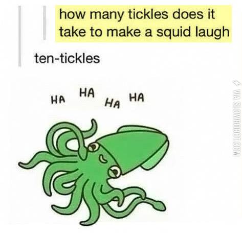 How+many+tickles+does+it+take+to+make+a+squid+laugh%3F