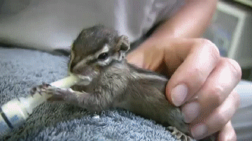 Me+when+I+have+a+can+of+whipped+cream.