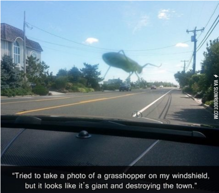Giant+grasshopper+destroying+the+town%21