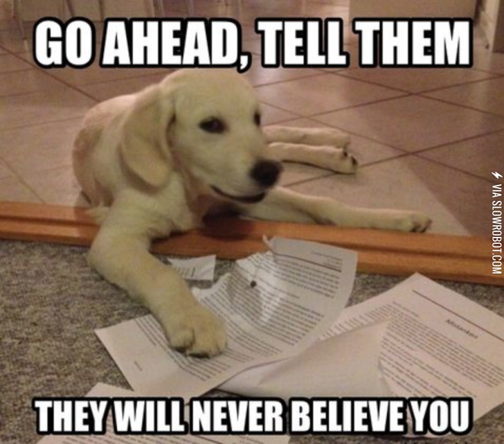 Teachers+don%26%238217%3Bt+understand%26%238230%3B