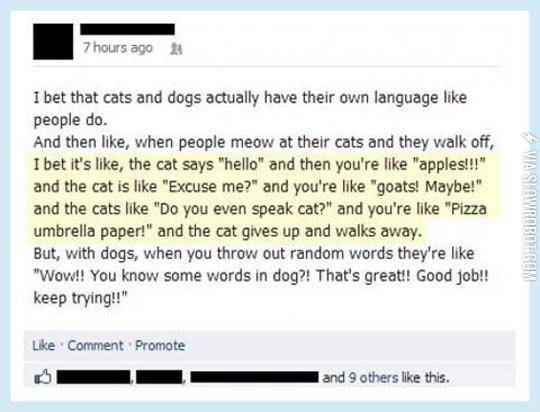 Do+You+Even+Speak+Cat%2C+Human%3F