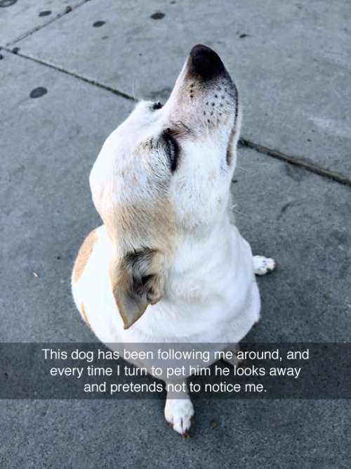 I+think+we%26%238217%3Bre+best+friends