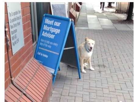 Meet+our+mortgage+adviser%21