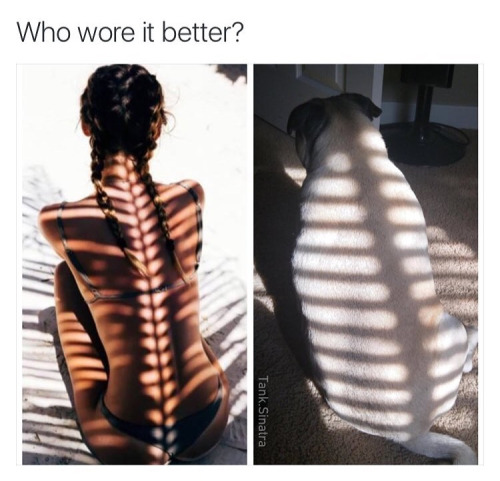 Who+wore+it+better%3F