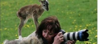a+photographer+is+approached+by+a+baby+deer+and+baby+wolf+while+out+in+the+field