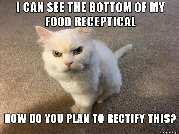 Sometimes+I+wonder+who+the+real+boss+is+around+my+house.