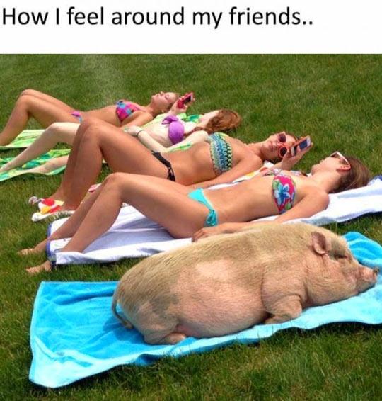 It%26%238217%3Bs+been+an+OK+summer.