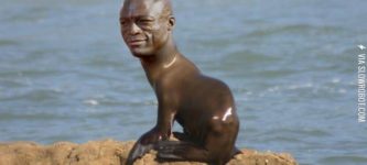 Seal