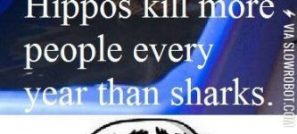 Hippos+kill+more+people+every+year+than+sharks.