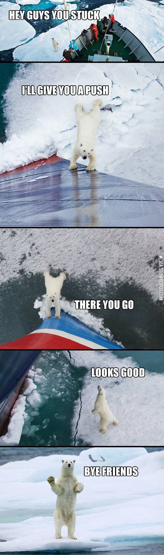 The+helpful+polar+bear