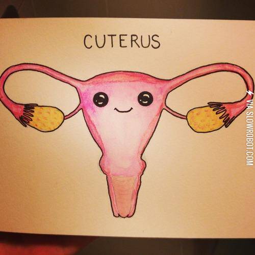 The+cuterus