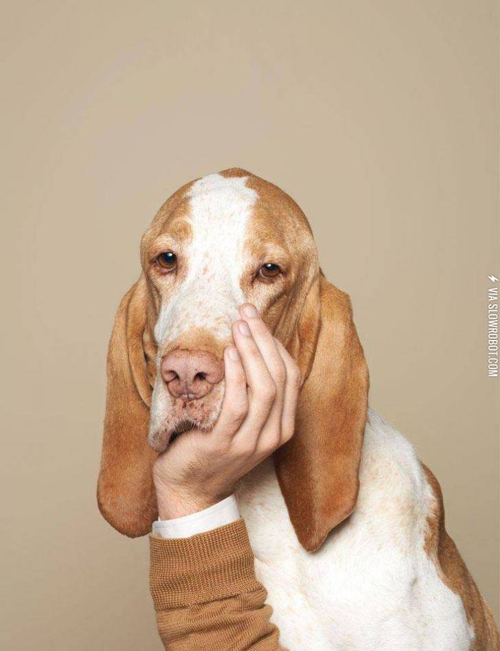 What+I+look+like+in+history+class.