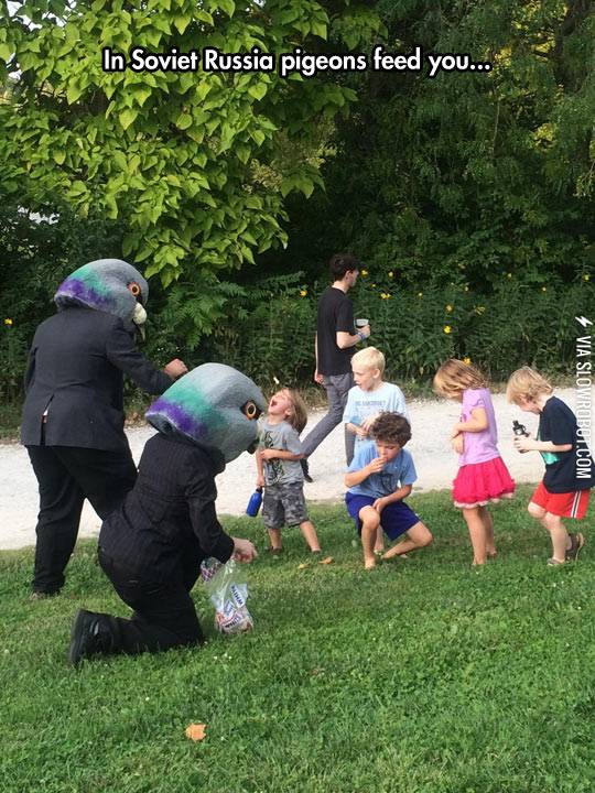 In+soviet+Russia+pigeons+feed+you.