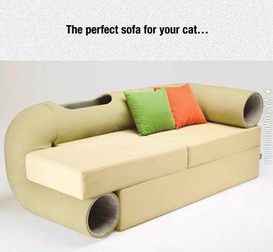 My+Cat+Needs+This