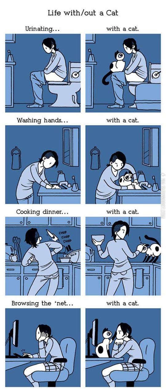 Living+With+A+Cat