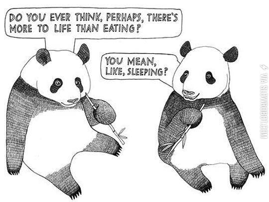 The+Life+Of+A+Panda