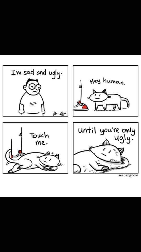 Cats+help+where+they+can.