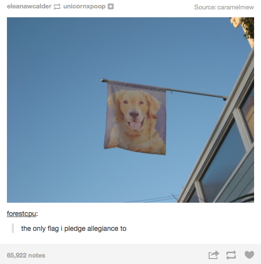 Truly%2C+a+flag+to+live+by