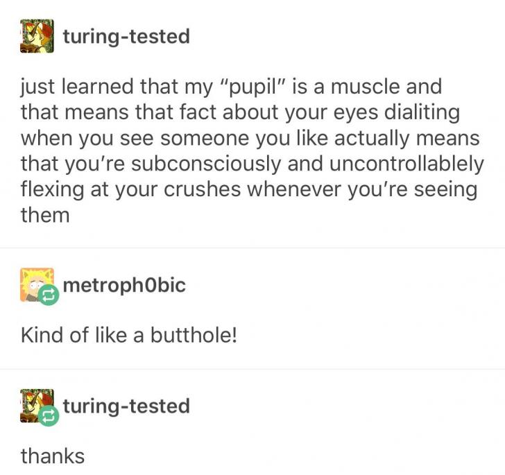 The+pupil+is+a+muscle.